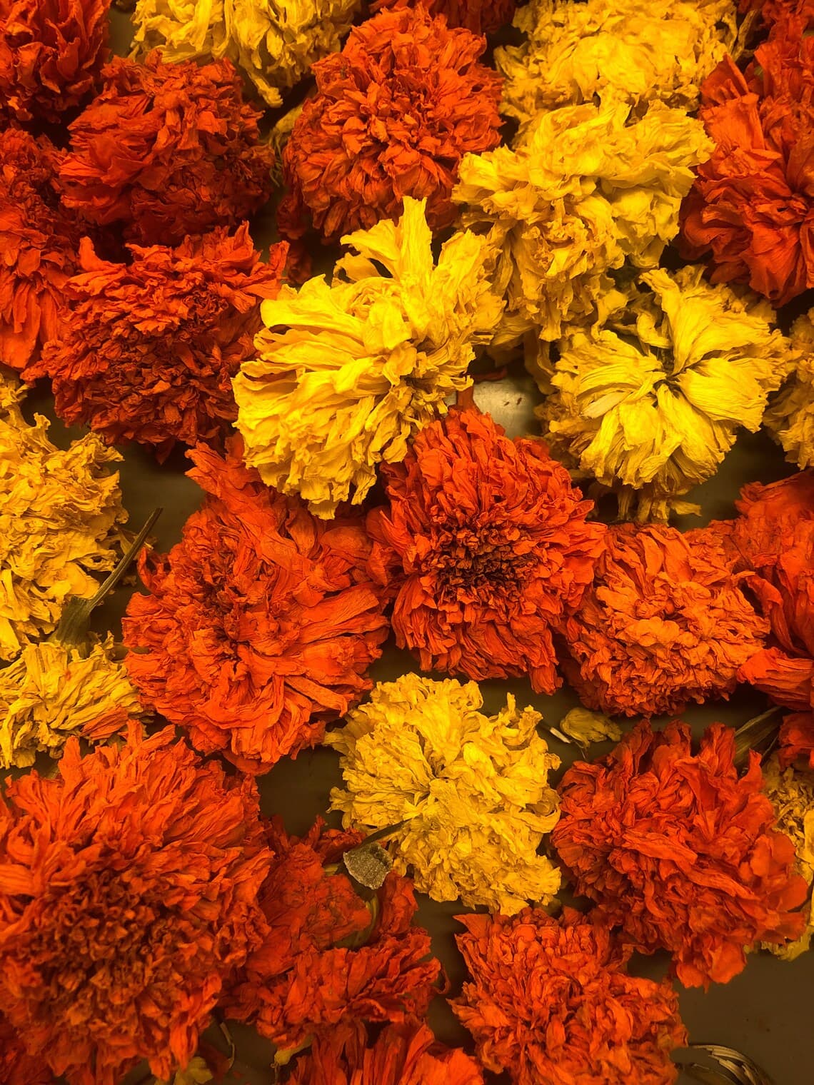 Organic Dried Marigold flowers 