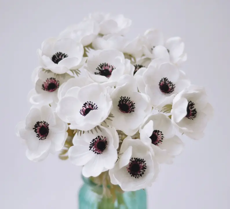 White Anemones 