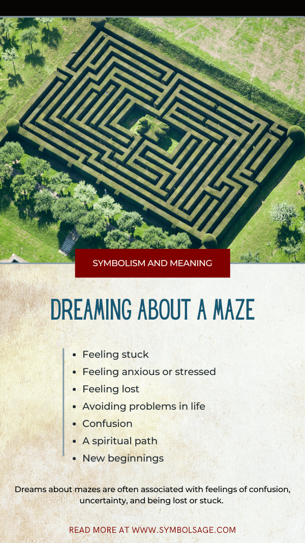 dreaming about a maze