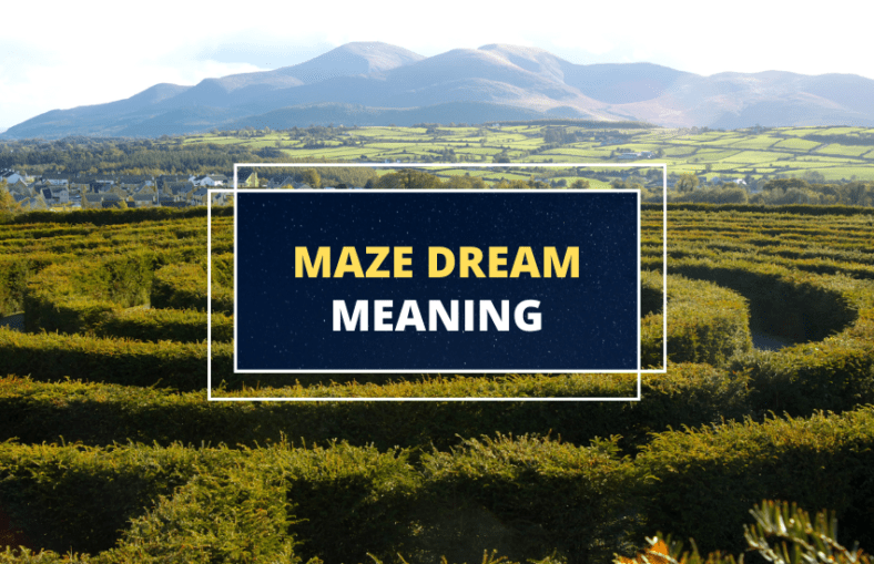 Dreaming About a Maze What Does It Mean? Symbol Sage