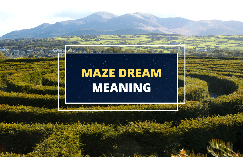 maze dream meaning