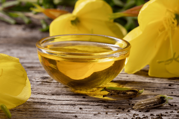 medicinal primrose oil