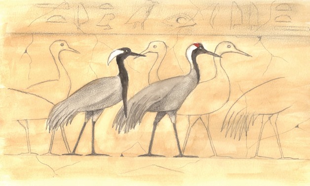 Crane in the Egyptian culture