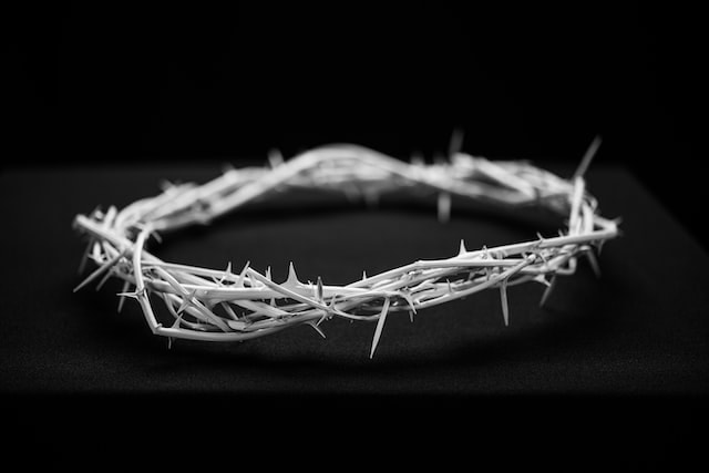 Crown of thorns in black background