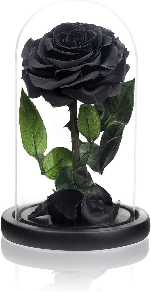 NATROSES Handmade Preserved Roses in Glass Dome