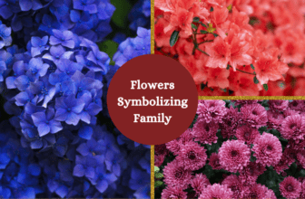 flowers symbolizing family