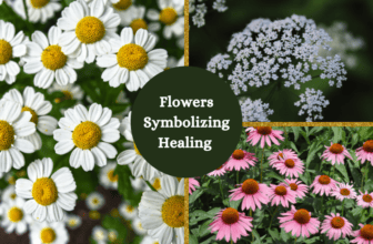 flowers symbolizing healing