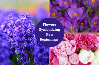flowers symbolizing new beginnings