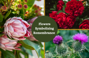 flowers symbolizing remembrance