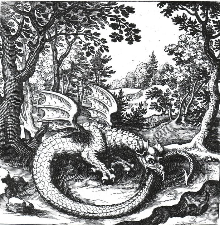 ouroboros Dragon 