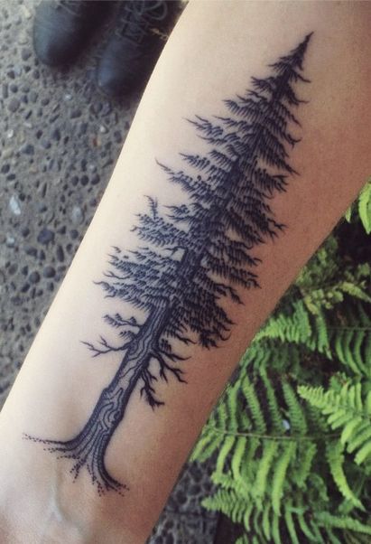pine trees tattoo