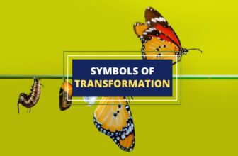 symbols of transformation
