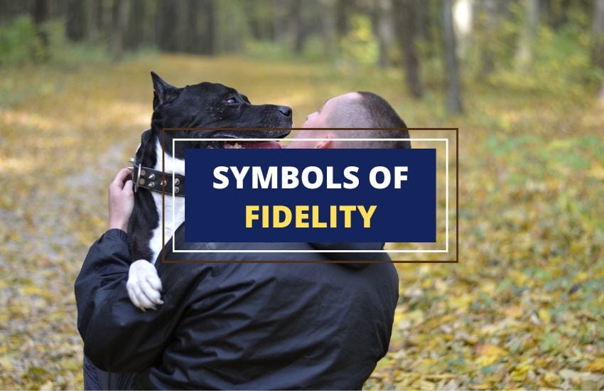 Symbols-of-fidelity