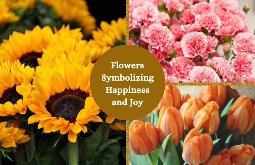 Flowers Symbolizing Happiness and Joy