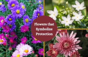 Flowers that Symbolize Protection