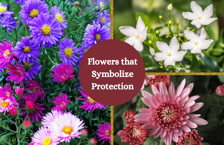 Flowers that Symbolize Protection