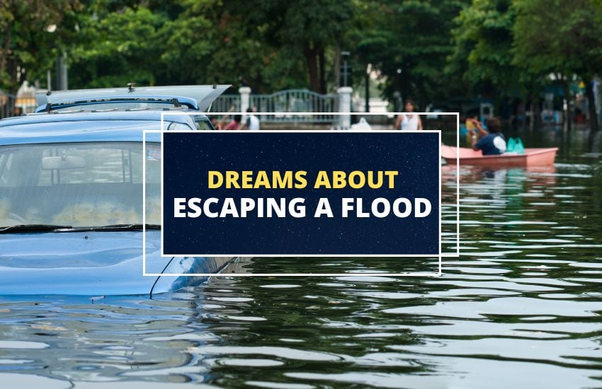Dream about Escaping a Flood