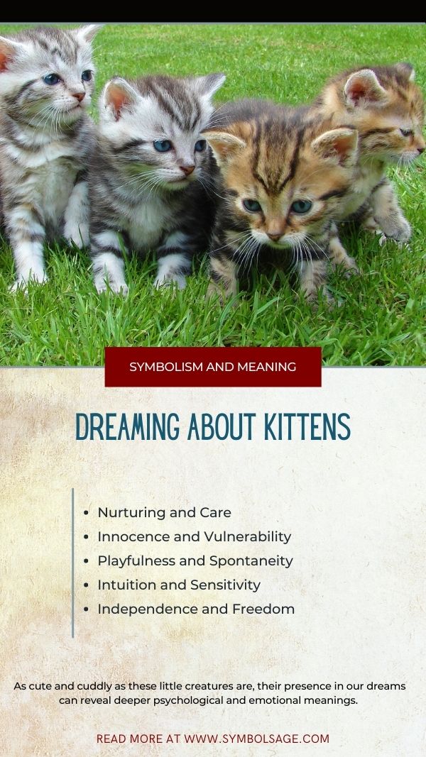 Dreaming about Kittens – Meaning and Symbolism