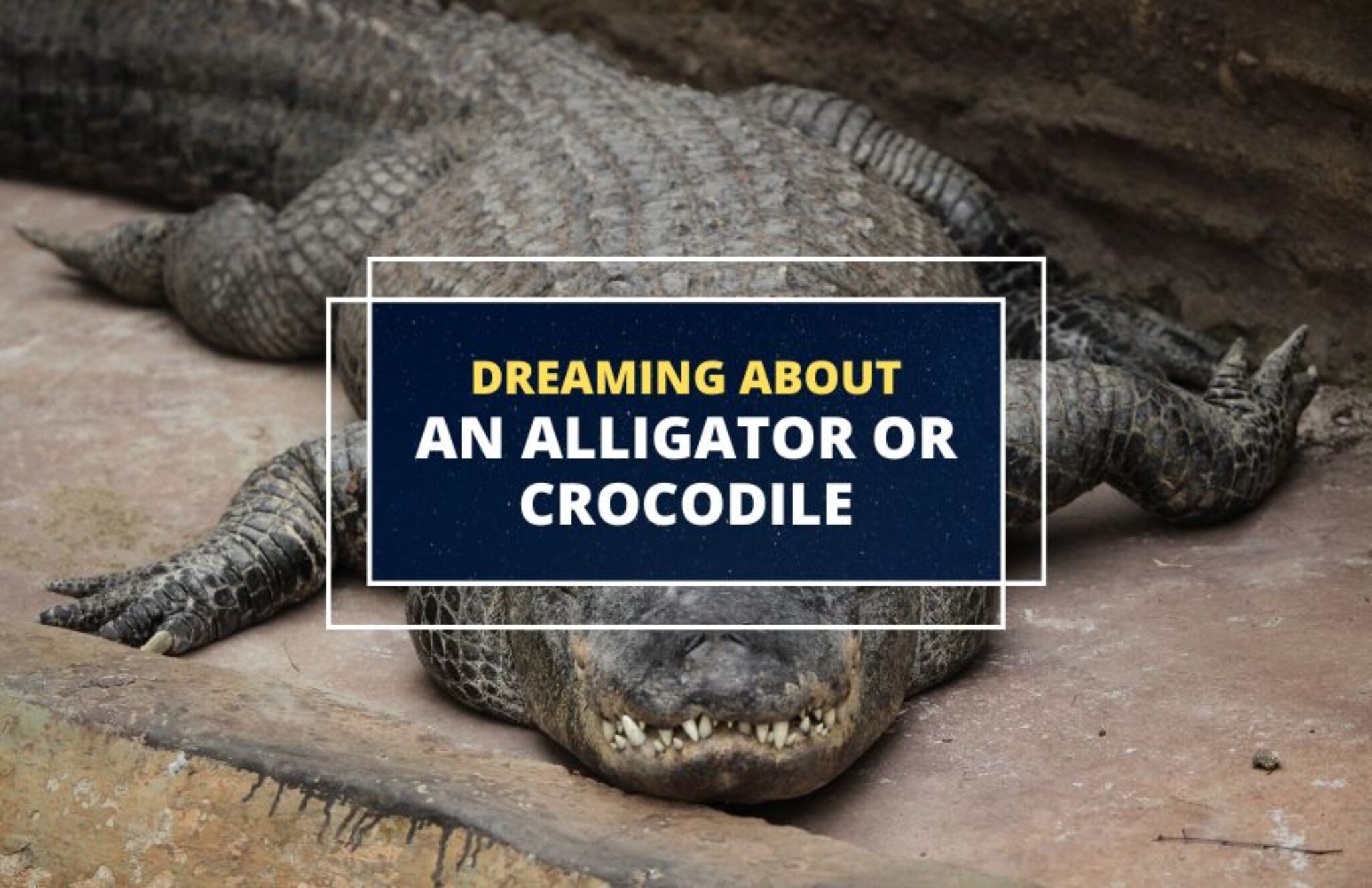 Dreaming about an Alligator or Crocodile