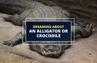 Dreaming about an alligator or crocodile