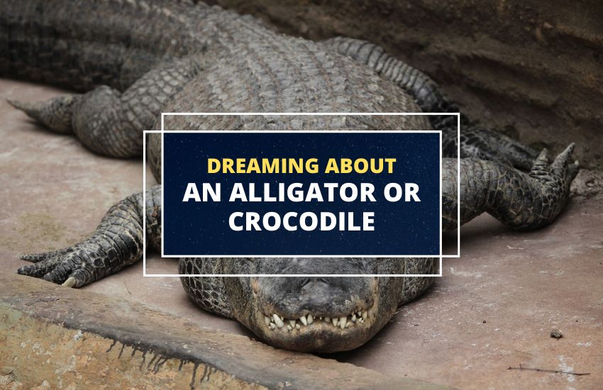 Dreaming about an alligator or crocodile