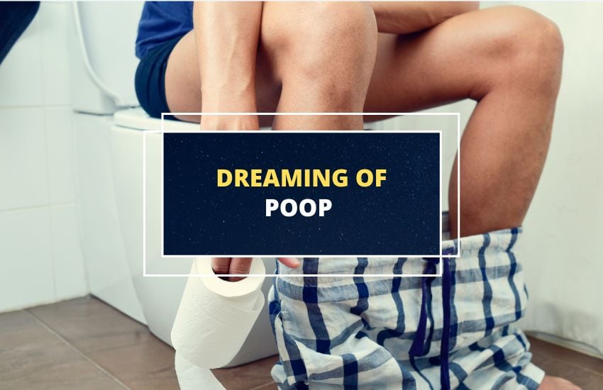 Dreaming of poop