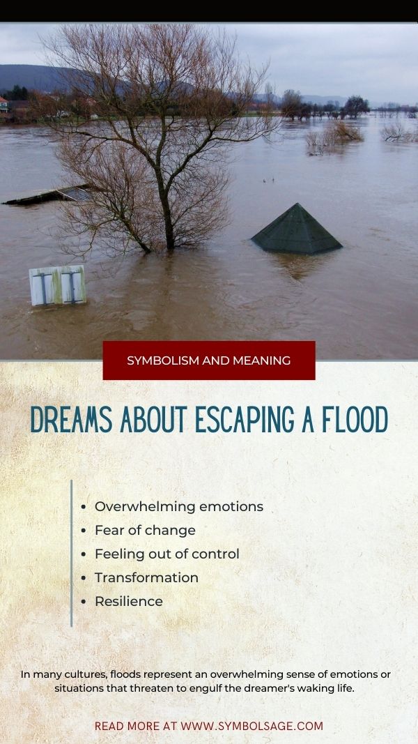 Dreams about Escaping a Flood