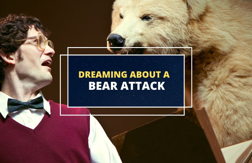 Dream about a Bear Attack