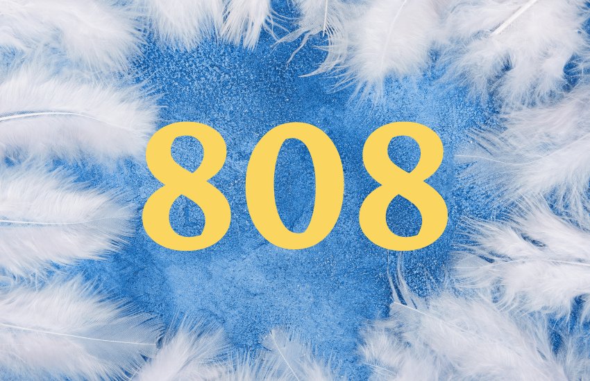 808 number with white feather and blue background