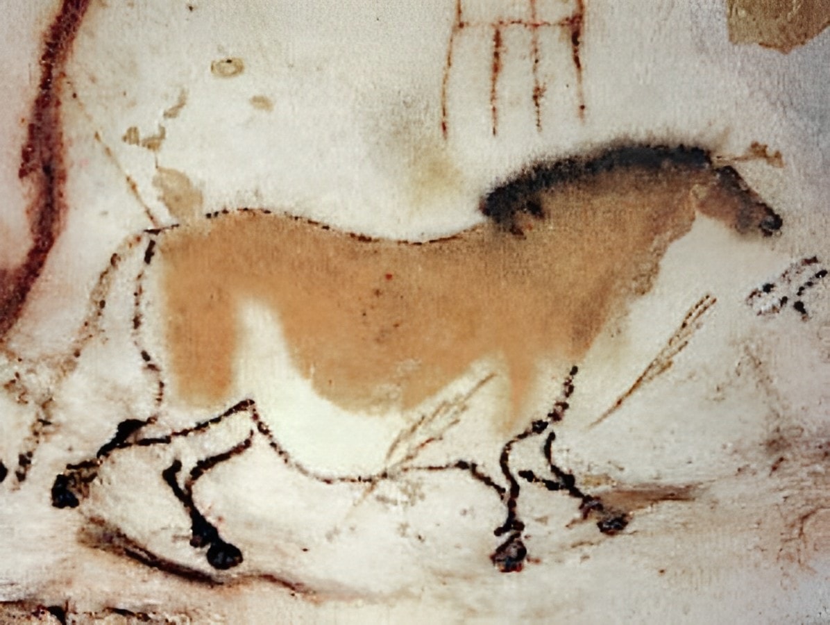 cave painting of dun horse at lascaux