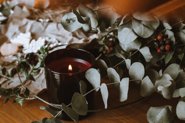 Candle on Table in Green Plant Decorations