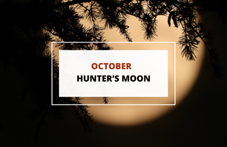 The Spiritual Meaning of October’s Hunter’s Moon - Symbol Sage