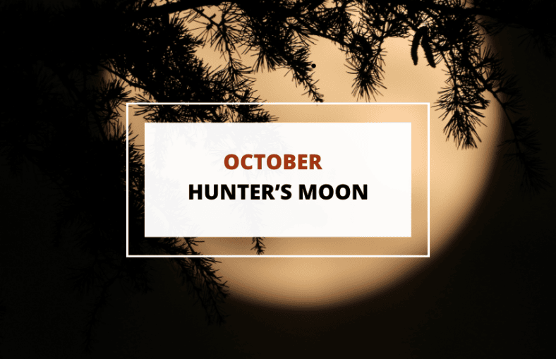 The Spiritual Meaning of October’s Hunter’s Moon Symbol Sage