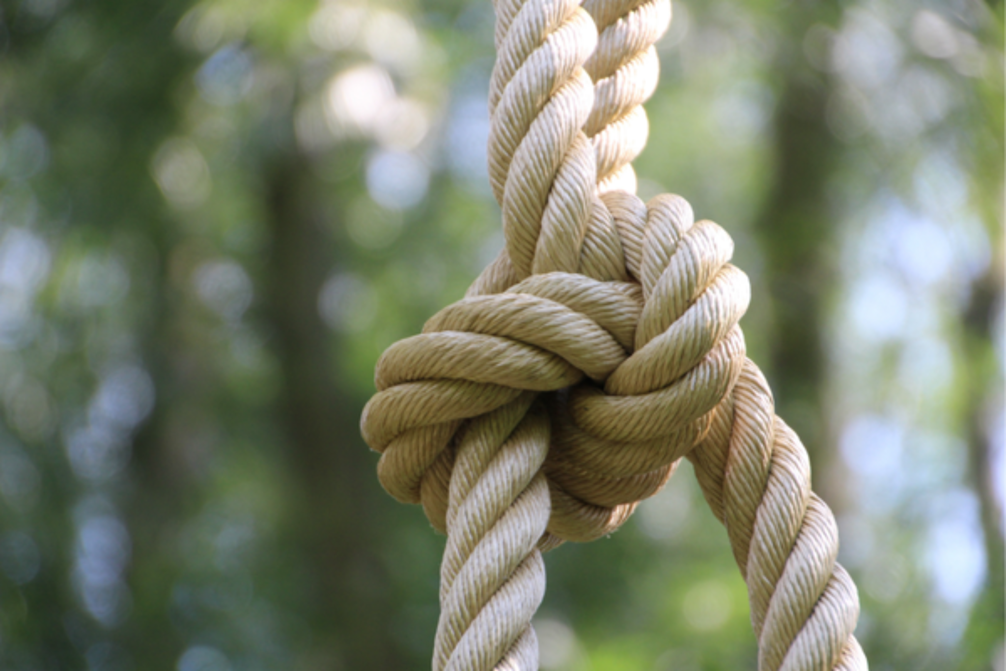Knot Magic: Weaving Your Intentions into Reality - Symbol Sage