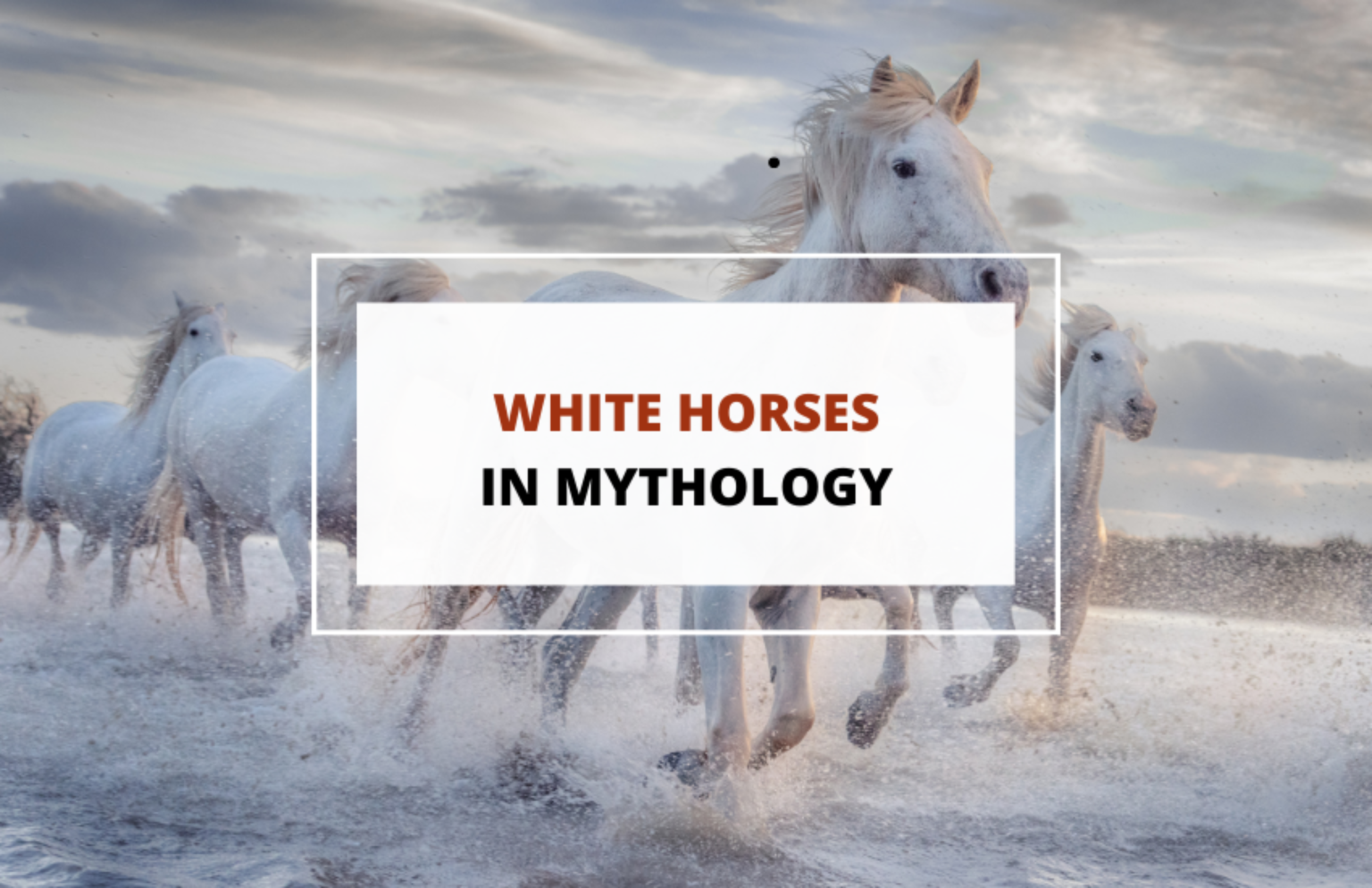 White Horses in Mythology Symbolism Symbol Sage