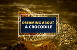 Dream of a Crocodile? Here’s What It May Mean