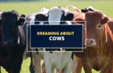 Did You Dream of a Cow? Here’s What It Might Mean