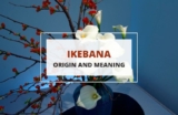 Ikebana – The Japanese Art of Flower Arrangement