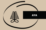 What is Aya Adinkra symbol?