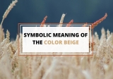 Symbolism of Beige Color – What Does It Mean?