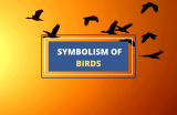 12 Birds With Rich Symbolic Meanings: Myth to Reality