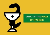 Bowl of Hygieia- What Does It Mean?