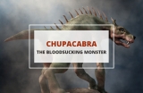 Chupacabra – Bloodsucking Monster of Latin America
