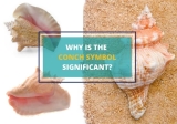 Conch Shell (Shankha) Symbol – Why Is It Important?