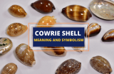 What Do Cowrie Shells Mean?
