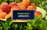 Dreaming About Apricots – What Does It Really Mean?