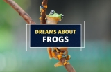 Dreams About Frogs – Symbolism and Meaning