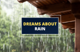 Dreams of Rain – Meaning and Interpretations