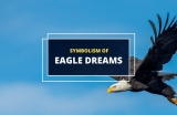 Dreaming of an Eagle – What It Means