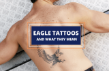 The Multifaceted Meanings of Eagle Tattoos: Power and Pride